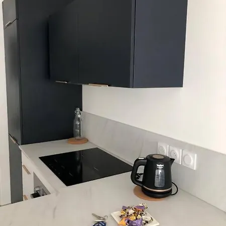 T2 - 1 Ch - Garage Prive - Balcon - 15 Min Du Apartment Annecy